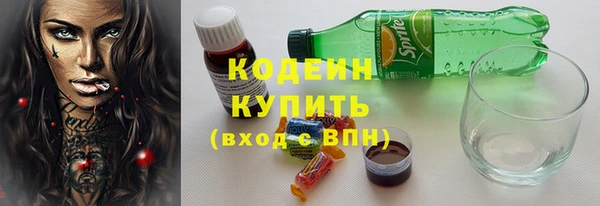 гашик Алексин