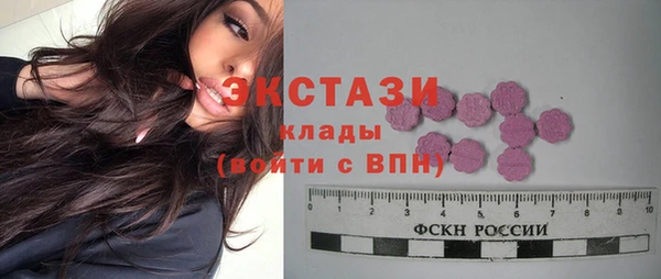 гашик Алексин