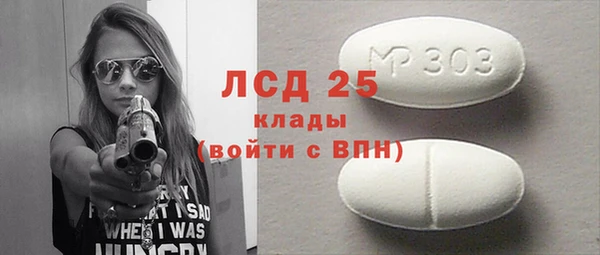 гашик Алексин