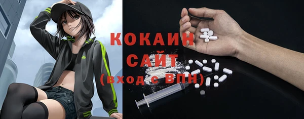 гашик Алексин