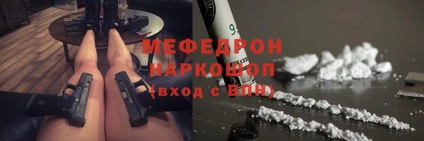 гашик Алексин