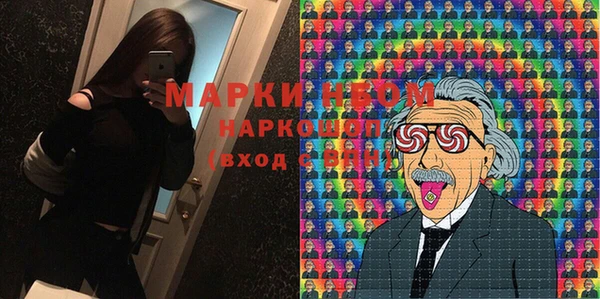 гашик Алексин