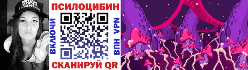 omg сайт  Андреаполь  Галлюциногенные грибы ЛСД 